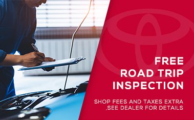 Free Road Trip Inspection