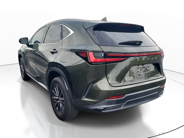 2024 Lexus NX NX 250