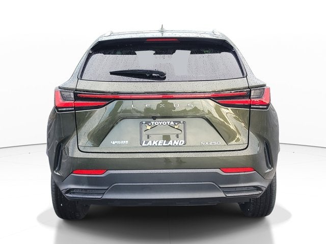 2024 Lexus NX NX 250