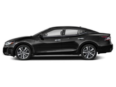 2019 Nissan Maxima SL