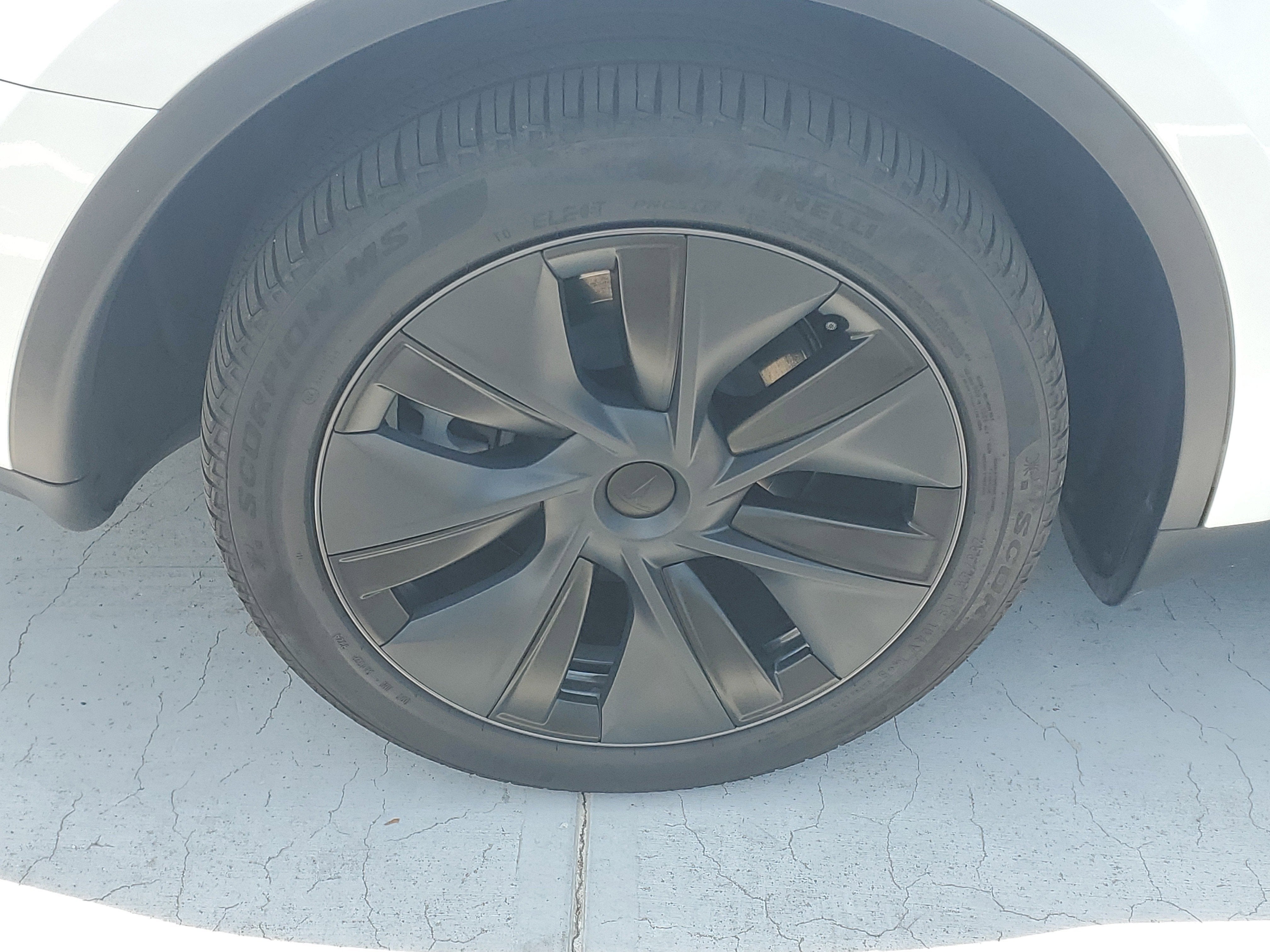 2025 Tesla Model Y Long Range