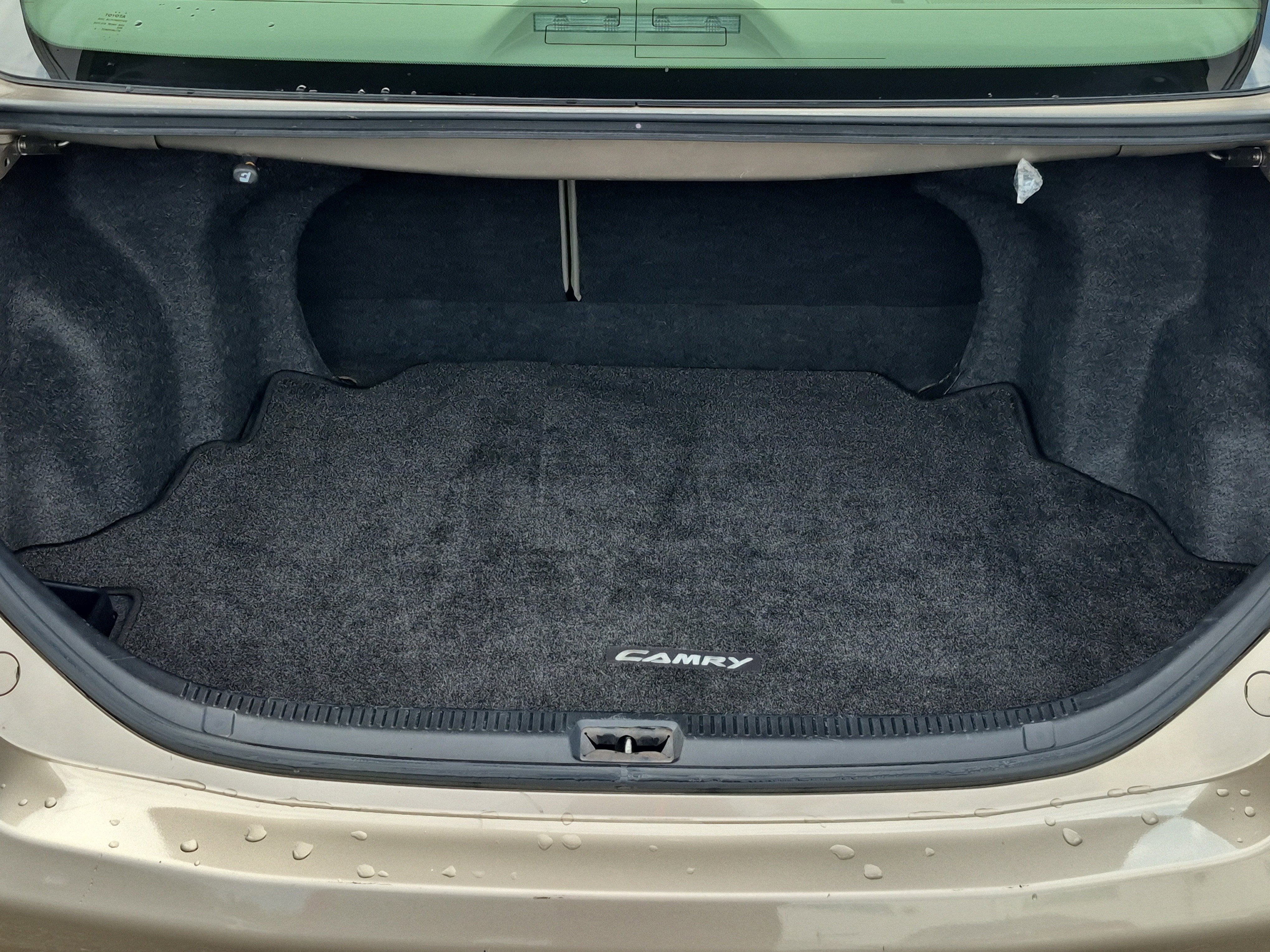 2009 Toyota Camry LE