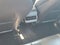 2023 Tesla Model 3 RWD